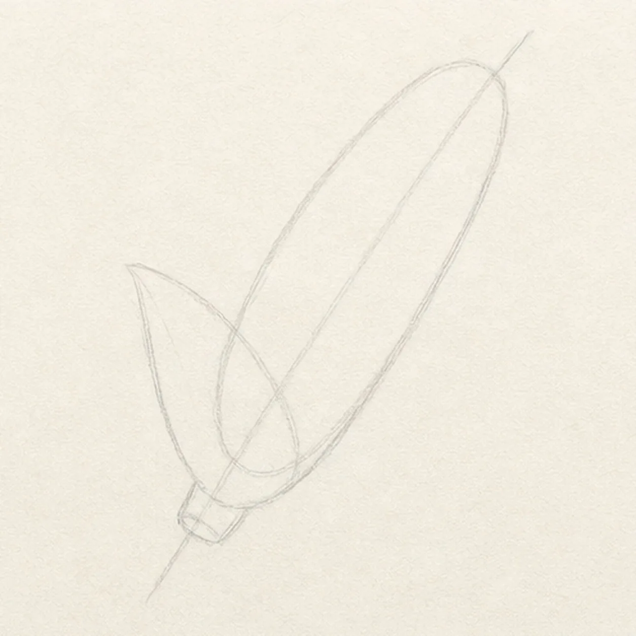 Block the cob angle stage for how to draw an ear of corn