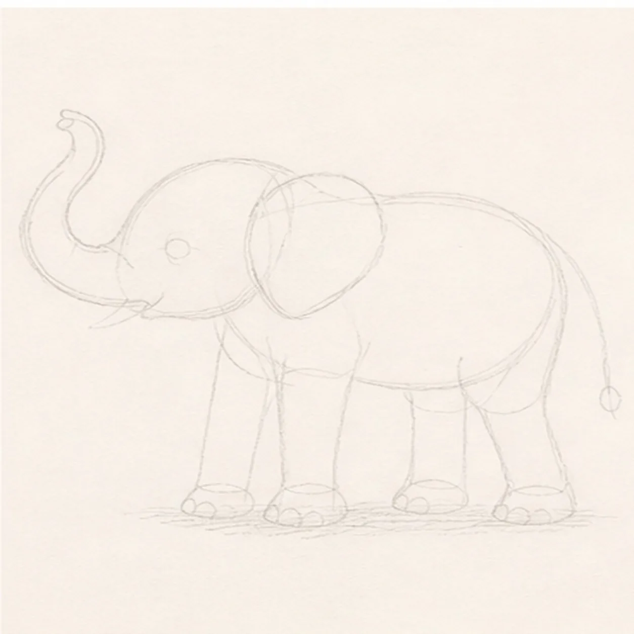 Map the calf gesture stage for how to draw an elephant calf