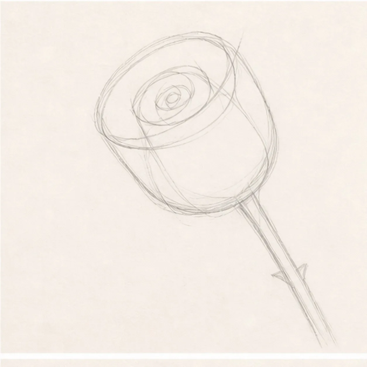 Set the bloom angle stage for how to draw a garden rose