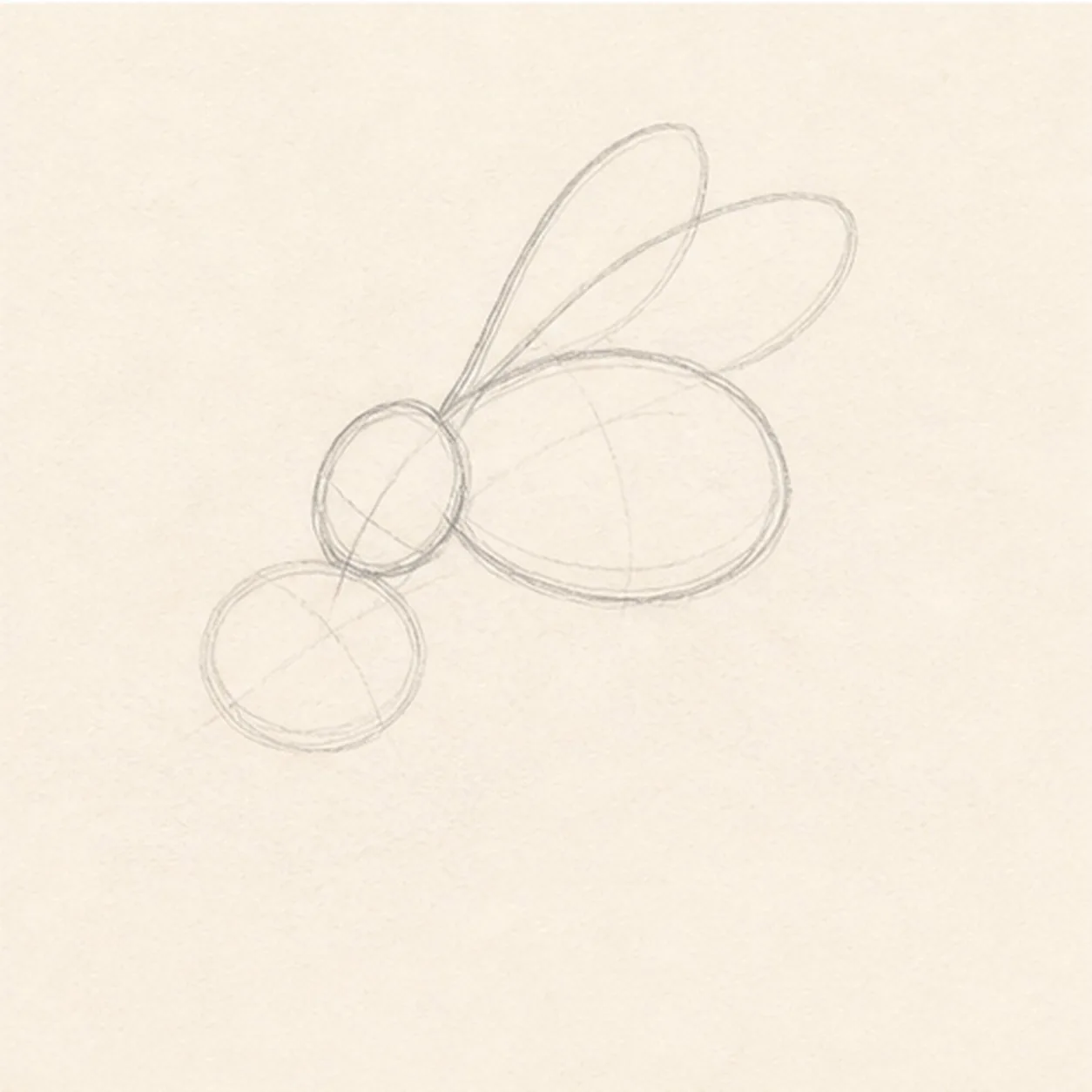 Add head and wings stage for how to draw a honeybee