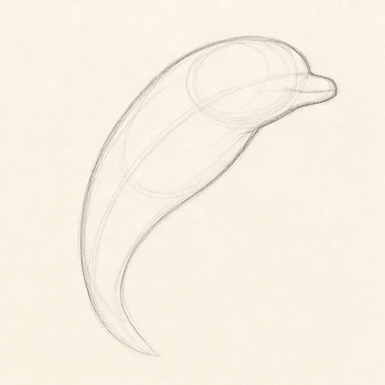 Shape the leaping body stage for how to draw a leaping dolphin