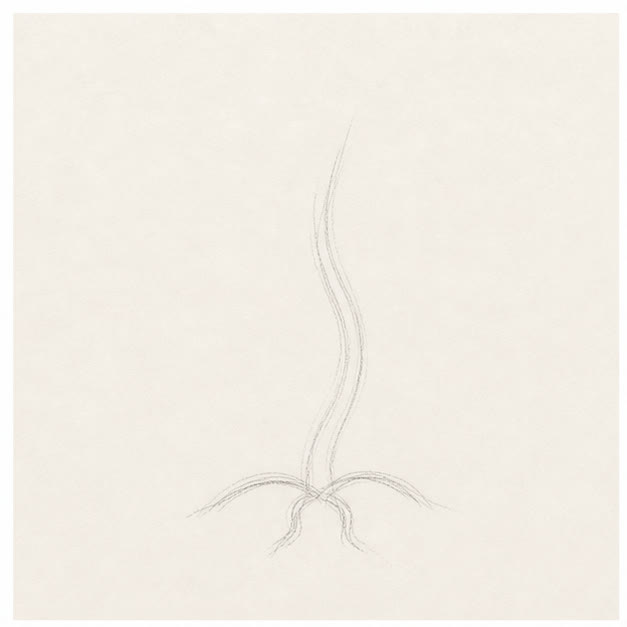 Draw the stem's path stage for how to draw a sprouting seed